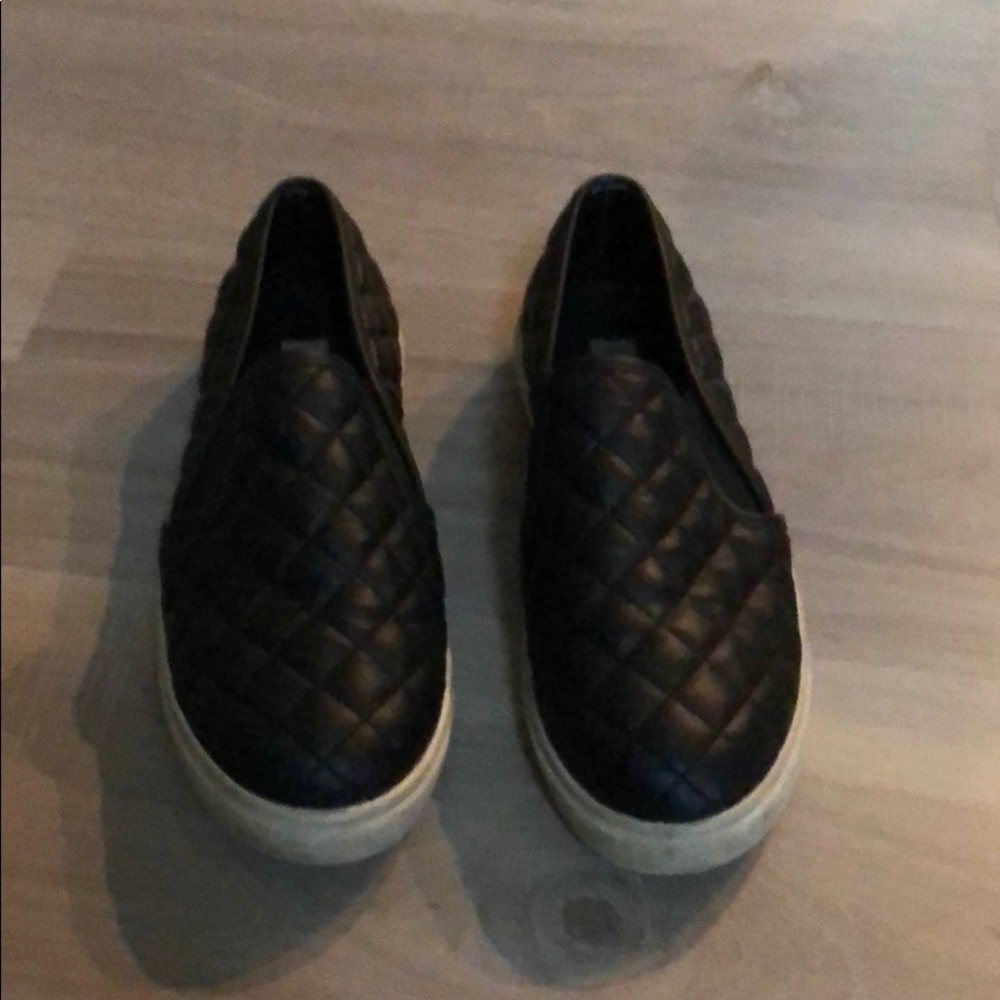 Steve Madden Sneakers